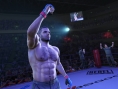 UFC Undisputed 3 : carnet de développeur