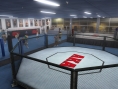 UFC Undisputed 3 : carnet de développeur