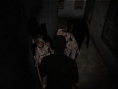GC 2011 : screens-video Silent Hill HD Collection