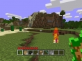 EA comme Activision voulaient Minecraft
