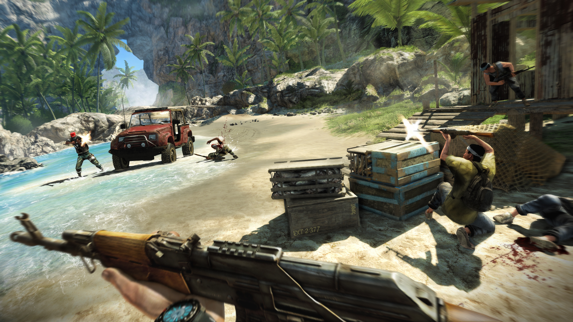 Screens Far Cry 3