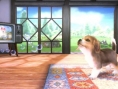 Super Smash Bros : avalanche d'images (3DS)