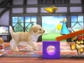 Super Smash Bros : avalanche d'images (3DS)