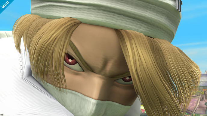 Video Super Smash Bros Wii U & 3DS