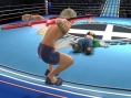Screens Super Smash Bros