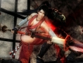 Team Ninja : d'autres projets pour la Wii U