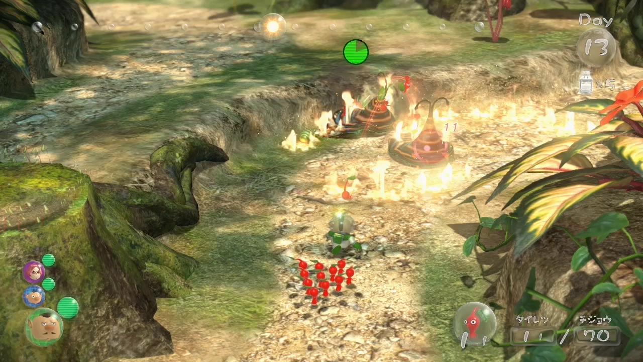 N-Direct : images Pikmin 3