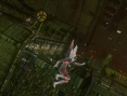 Images Gravity Daze