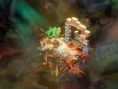Bastion passe le demi-million