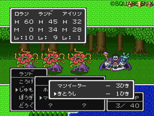 Screens Dragon Quest Collection
