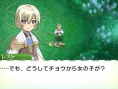 Screens Rune Factory 4