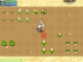 Screens Rune Factory 4