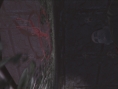 Deadly Premonition PS3 : avalanche d'images