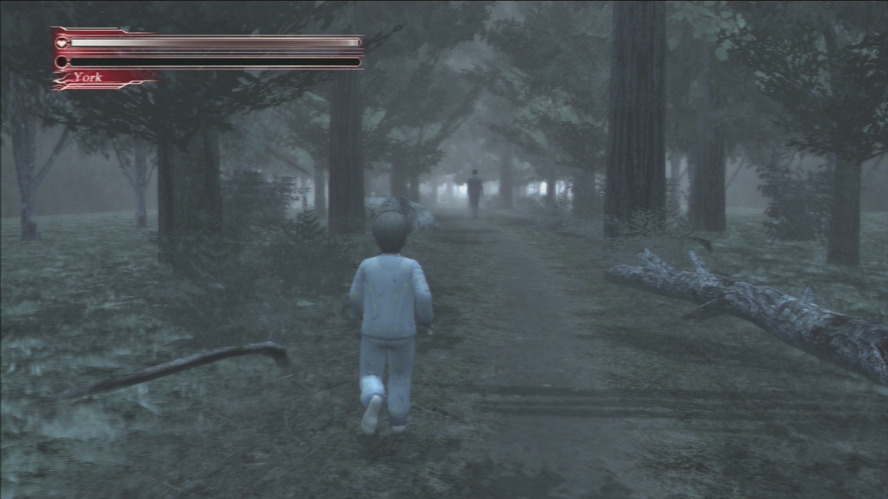 Deadly Premonition PS3 : avalanche d'images