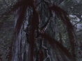 Deadly Premonition PS3 : avalanche d'images
