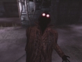 Deadly Premonition PS3 : avalanche d'images