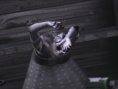 Deadly Premonition PS3 : avalanche d'images