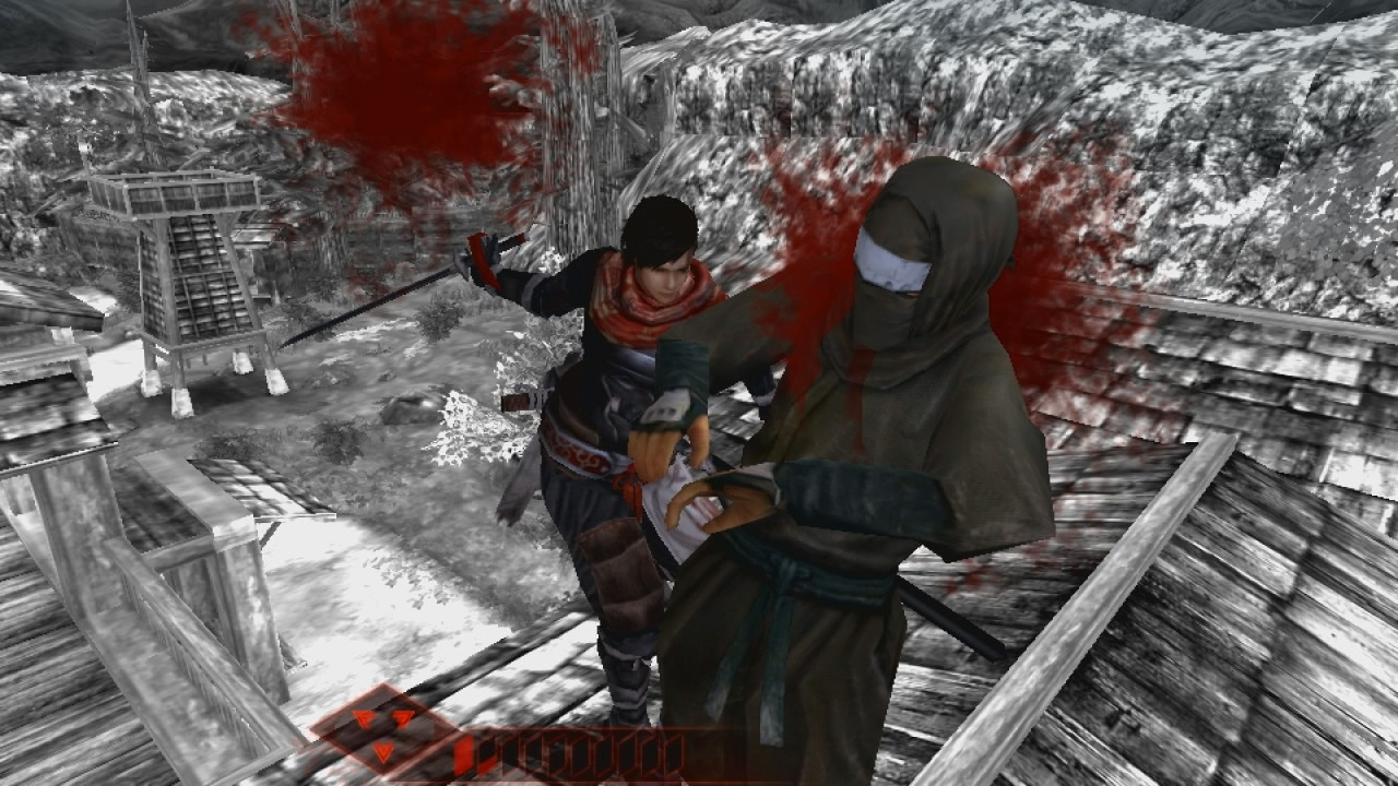 Screens-Video Shinobido 2