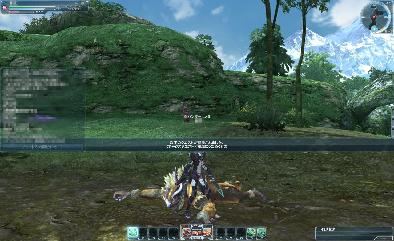 Phantasy Star Online 2 : le plein d'images