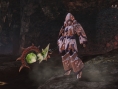 Screens Phantasy Star Online 2