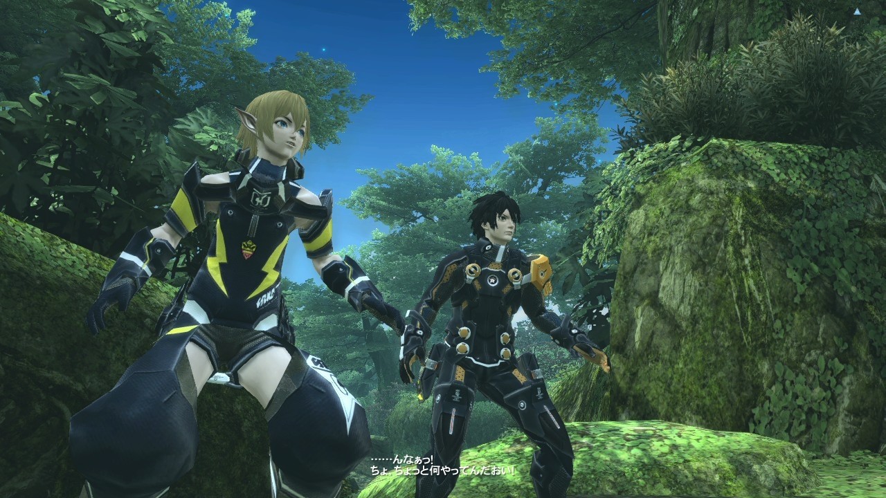 Phantasy Star Online 2 : le plein d'images