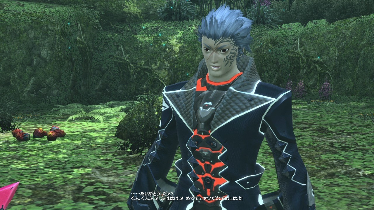 Phantasy Star Online 2 : le plein d'images