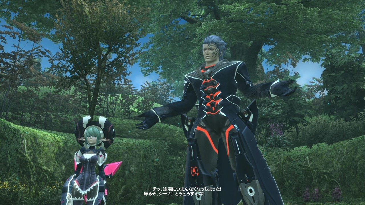 Screens Phantasy Star Online 2