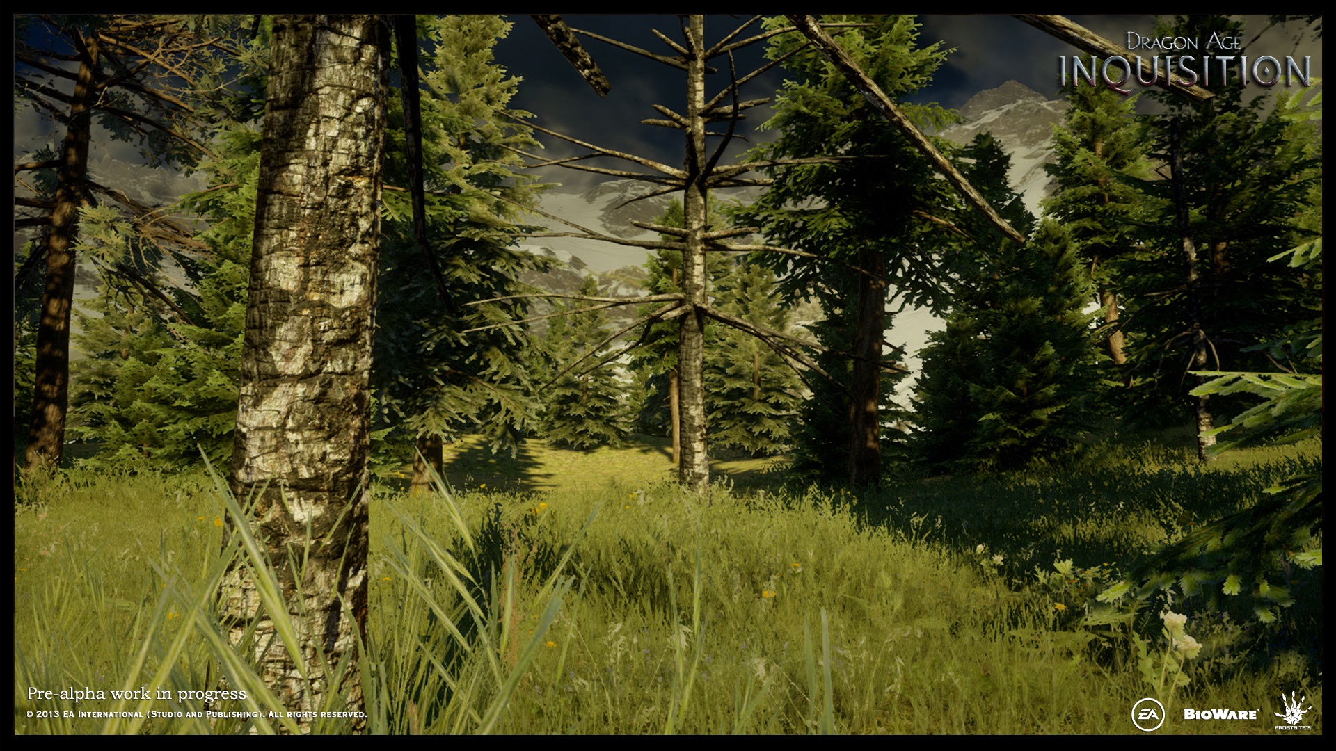Dragon Age Inquisition : quelques visuels pré-alpha