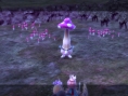 Images New Little King's Story