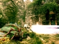 Images Blades of Time