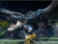Screens Monster Hunter tri-3G