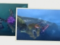 Screens Monster Hunter tri-3G