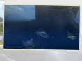 Screens Monster Hunter tri-3G