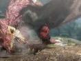 Screens-Artworks Monster Hunter tri-3G