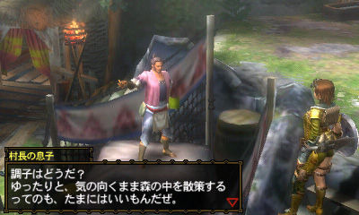 Monster Hunter tri-3G : nouvelles images