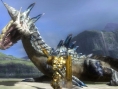 Monster Hunter tri-3G : images et artworks