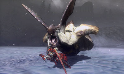Screens Monster Hunter tri-3G