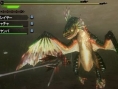 Images Monster Hunter tri-3G