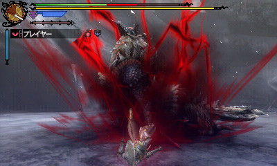 Monster Hunter 3G : toujours aucun plan pour l'occident