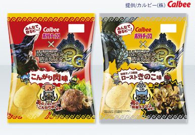 Monster Hunter 3G : lancement réussi