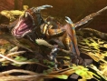Screens Monster Hunter 4