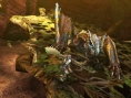 Screens Monster Hunter 4