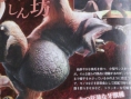 Monster Hunter 4 : nouveaux scans