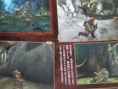Monster Hunter 4 : nouveaux scans