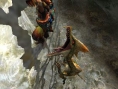 Screens Monster Hunter 4