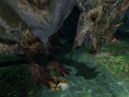 Monster Hunter 4 PS Vita : Capcom dément la rumeur