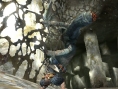 Screens Monster Hunter 4
