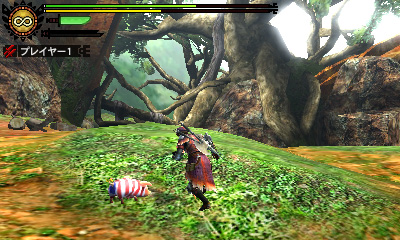 Monster Hunter 4 : nouvelles images
