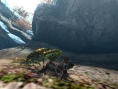 Screens Monster Hunter 4