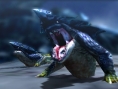 Monster Hunter 4 : nouvelles images